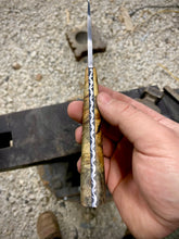 Load image into Gallery viewer, Buckeye Burl Hunter