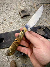 Load image into Gallery viewer, Buckeye Burl Hunter