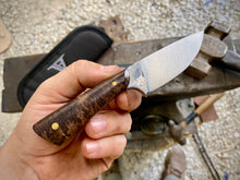 Load image into Gallery viewer, Valiant EDC Knife - Redwood Burl